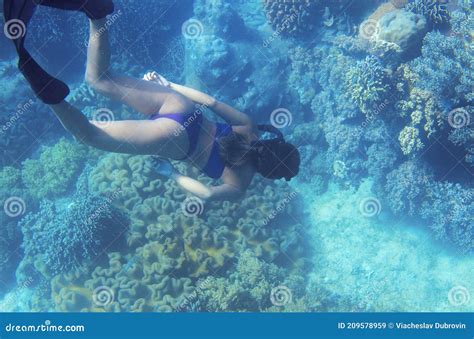 Erotic Scuba Photos Telegraph