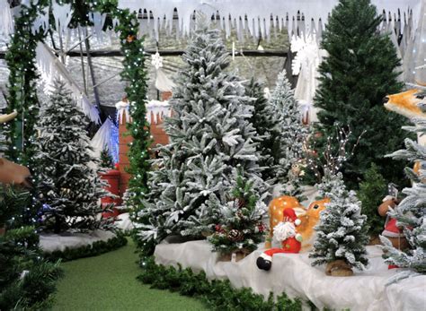 Christmas at Toad Hall Garden Centre - Photo albums - Toad Hall Garden ...