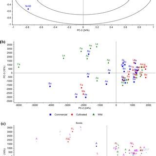 PCA PC1vPC2 Correlation Loadings A And Score Plots Grouped By B