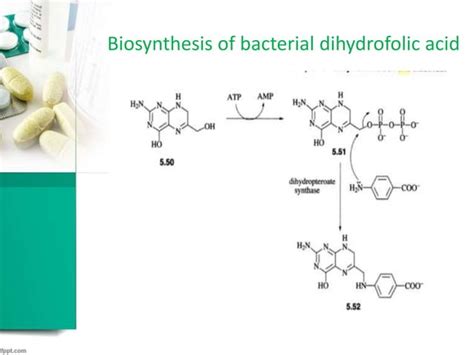 Sulfa drugs and mechanism of action | PPT