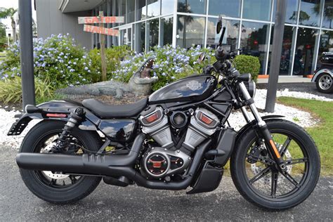 2023 Harley Davidson Nightster RH975 Gator Harley Davidson