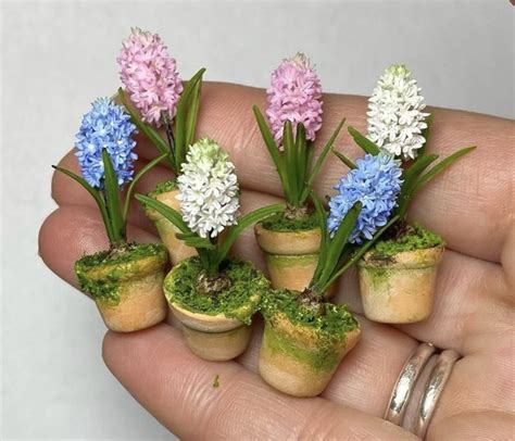 Pin By Loretta De Groot On Mini S In 2024 Mini Plants Mini Plants