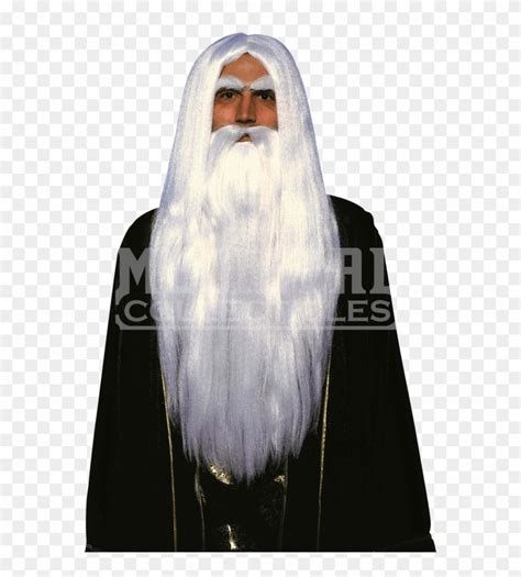 Long White Beard Costume, HD Png Download - 850x850(#2122939) - PngFind