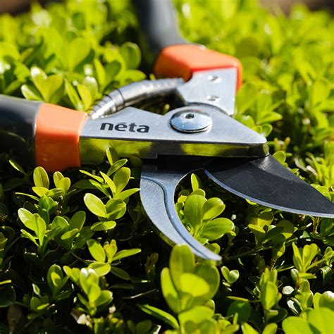 Aluminium Bypass Secateurs Neta Gardens