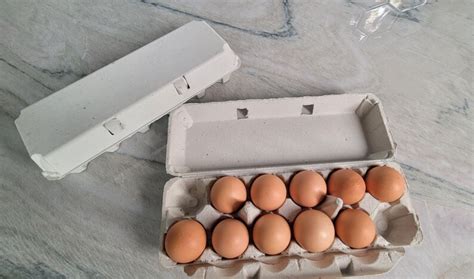 Blank Natural Pulp Paper Egg Cartons Holds 12 Eggs Pack Of Etsy