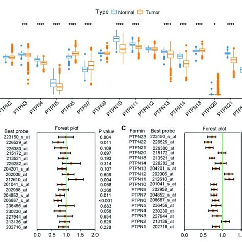 Expression Levels And Prognostic Values Of PTPNs In BrCa A