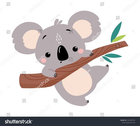 35,011 Cute Koala Wild Images, Stock Photos & Vectors | Shutterstock