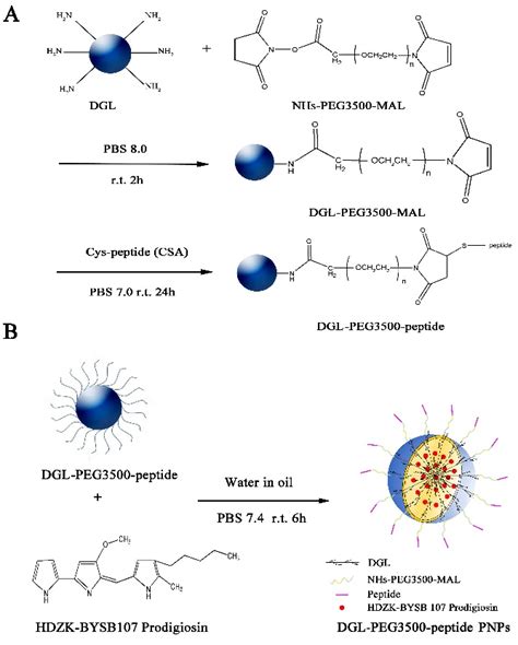 Scheme Basic Synthetic Route Of Dgl Peg Peptide Pnps A Synthetic