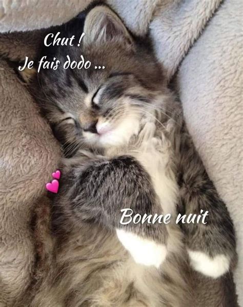 Pingl Par Mazef Anita Sur Bonne Nuit Bonne Nuit Nuit