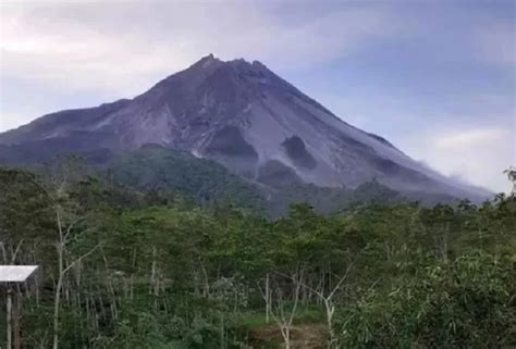 Bpptkg Tinggi Kubah Lava Barat Daya Gunung Merapi Bertambah Krjogja