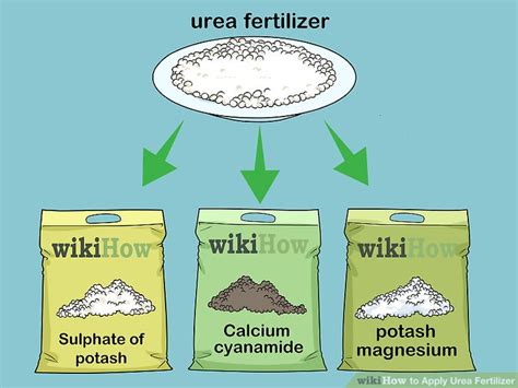 How to Apply Urea Fertilizer: 14 Steps (with Pictures) - wikiHow