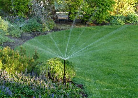 The Best Garden Watering System Hgtv