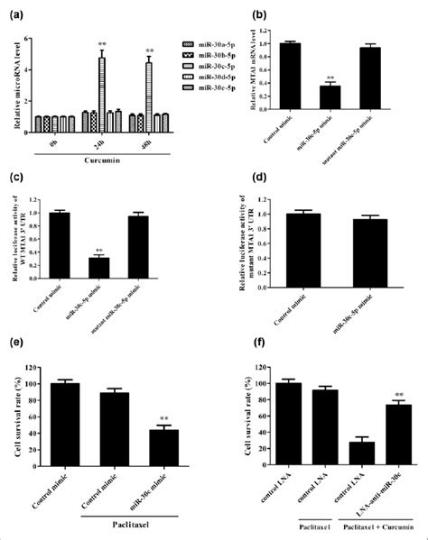 Curcumin Reduces The Expression Of MTA1 Gene Through Upregulation Of