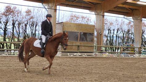 Photos Sarreguemines L Gance Et Justesse Au C Ur D Un Concours De