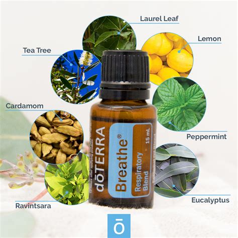 Doterra Breathe Oil Dōterra Essential Oils