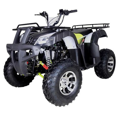 TaoTao Bull 200 Utility ATV - FamilyGoKarts.com