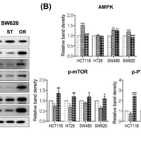 Effect Of Oxaliplatin Resistance On AMPK And Akt MTOR Signaling Pathway