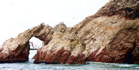 Paracas Peru Las Islas Ballestas And The Grim Tale Of Guano October 2015