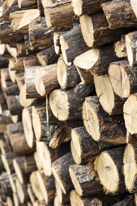 Wall Of The Stacked Wood Pile As Background Tree Stumps Background