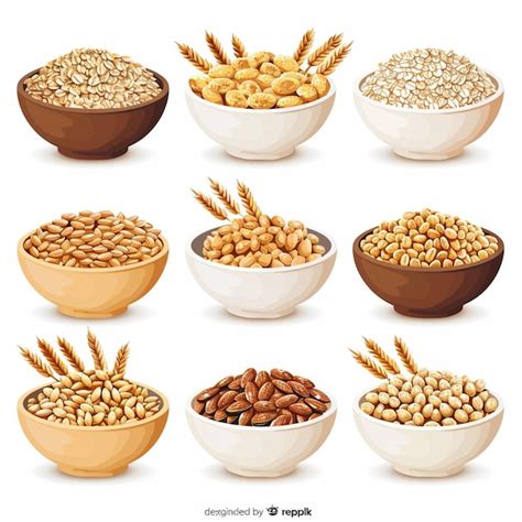 Premium Vector A Collection Of Different Kinds Of Nuts Including