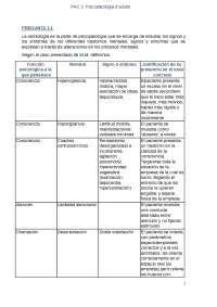 Psicopatologia D Adults Pac Respostes Apuntes De Psicopatolog A