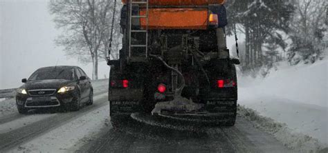 Preventing Road Salt Damage To Your Plants & Pets - LAM Tree Service