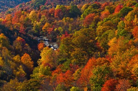 Where to See Fall Colors in North Carolina Smoky Mountains