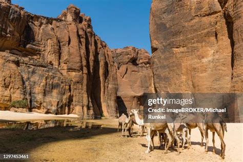 58 Guelta Darchei Stock Photos, High-Res Pictures, and Images - Getty ...