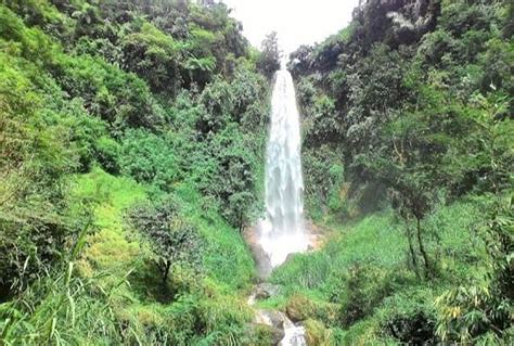 Rekomendasi Wisata Air Terjun Hidden Gem Di Malang Raya Yang Wajib