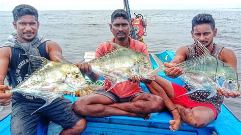 Traditional Long Line Fishing In India Catching Lot Of Diamond