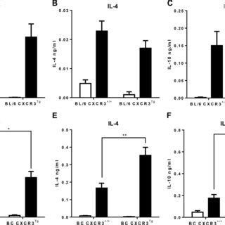 Cytokine Profiles Of BALB C And C57BL 6 CXCR3 Tg Mice Infected With L