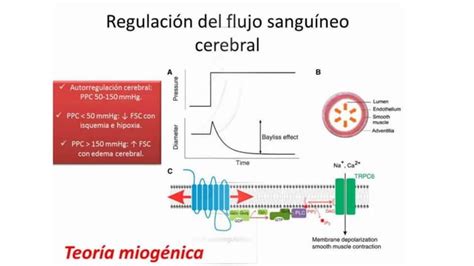 Sindrome De Hipertension Endocraneana Ppt