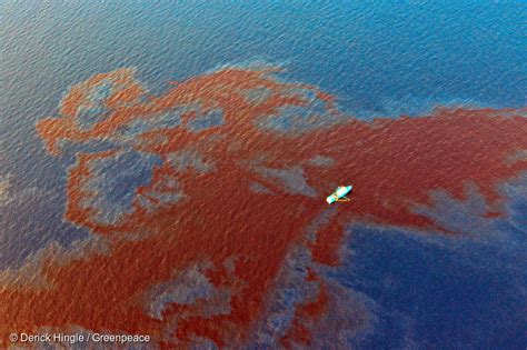 Shell Spills Gallons Of Oil Into Gulf Of Mexico