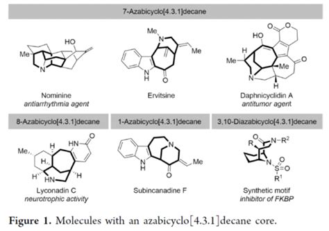 ACS Catal N 杂环分子的立体发散性合成策略研究 化学空间 Chem Station