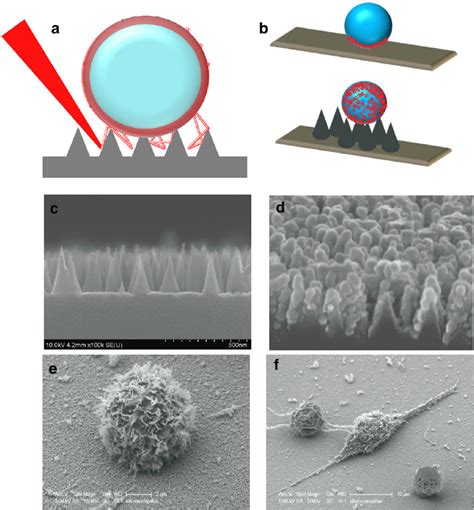 A Schematic Illustration Of Coupling Of Light From The Nanocone Download Scientific Diagram