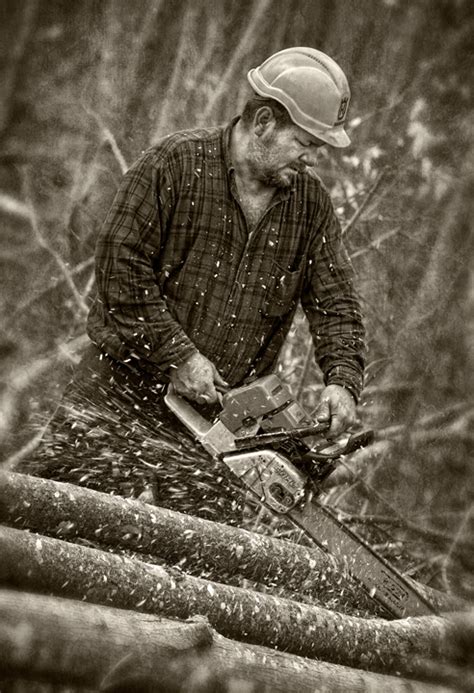 Dan Routh Photography Logger Cont