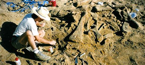 dinosaur bones pacific geolab