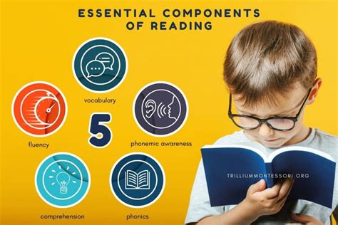 The Components Of Reading