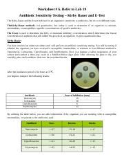 Assignment Docx Worksheet Refer To Lab Antibiotic