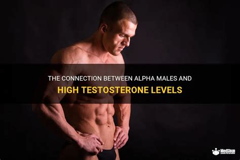 The Connection Between Alpha Males And High Testosterone Levels Medshun