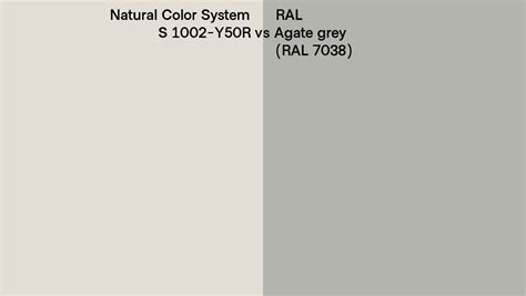 Natural Color System S 1002 Y50R Vs RAL Agate Grey RAL 7038 Side By