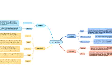 Los Tejidos Mind Map