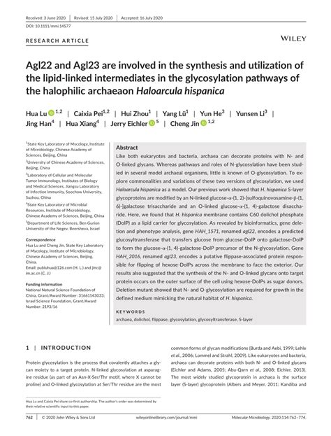 Agl22 And Agl23 Are Involved In The Synthesis And Utilization Of The