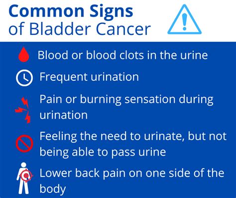 Understanding Bladder Cancer Urology Partners