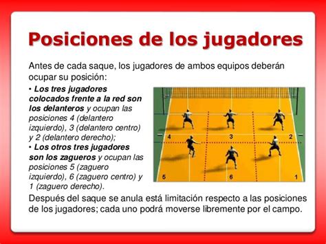 Qué son las Posiciones de Juego en Voleibol miblogdeducacionfisica