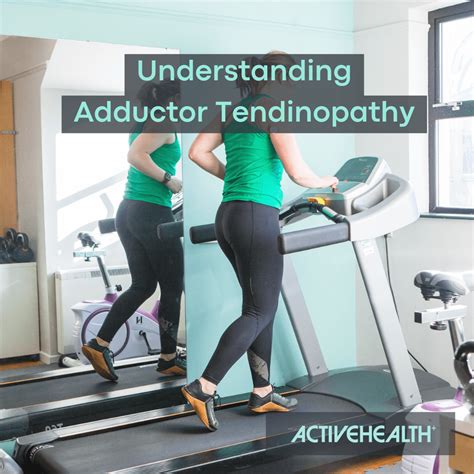 Adductor Tendinopathy - Active Health Solutions 2024