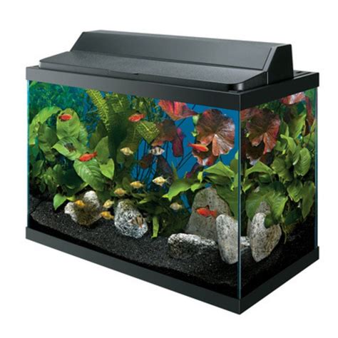 Best 30 Gallon Fish Tank Kits of 2025 | (29-30 gallon)