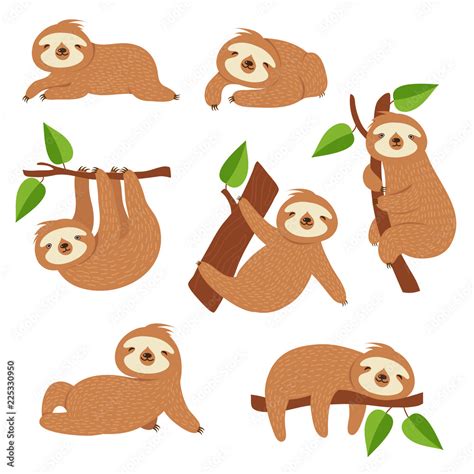 Cute sloths. Cartoon sloth hanging on tree branch. Baby jungle animal ...