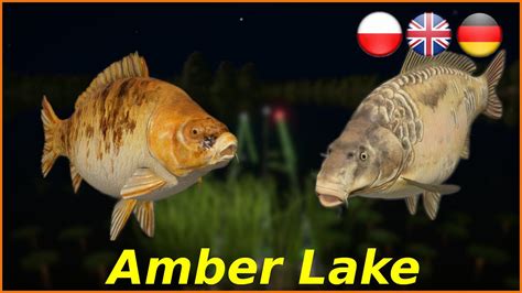 Amber Lake Carp No Pva X Spot Russian Fishing Rf Spot Youtube