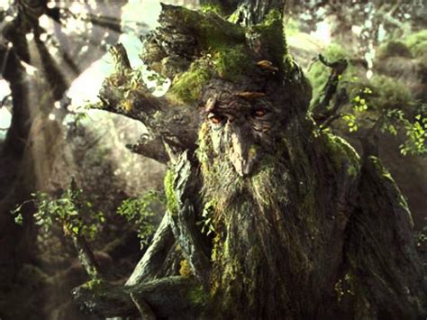 Treebeard Wiki Lotr Amino